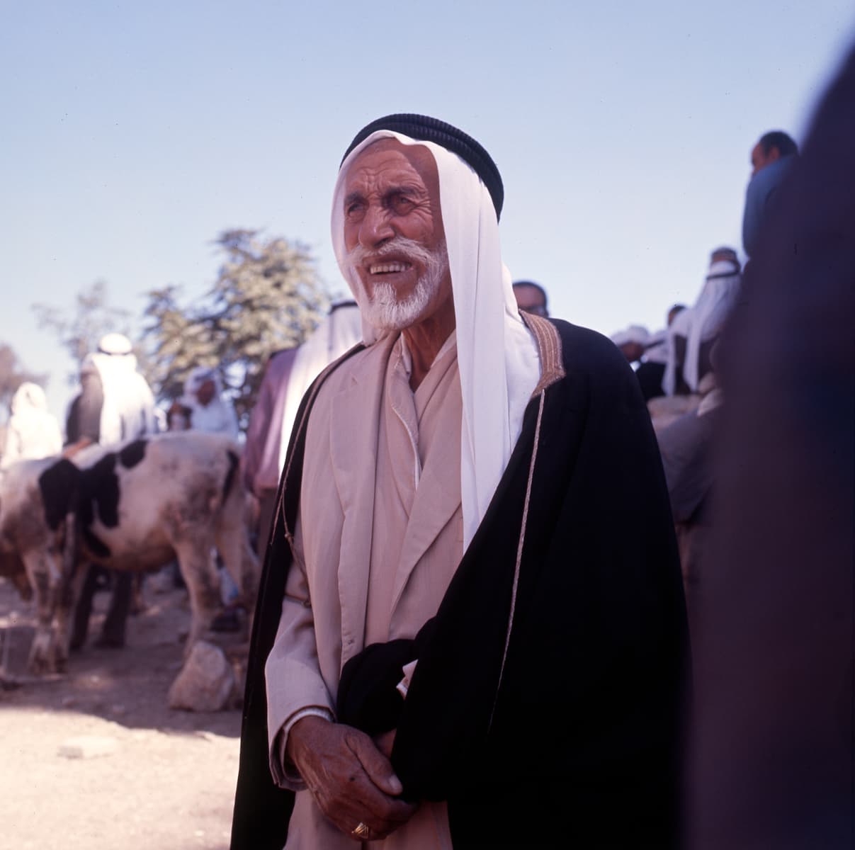 Bedouins in the desert